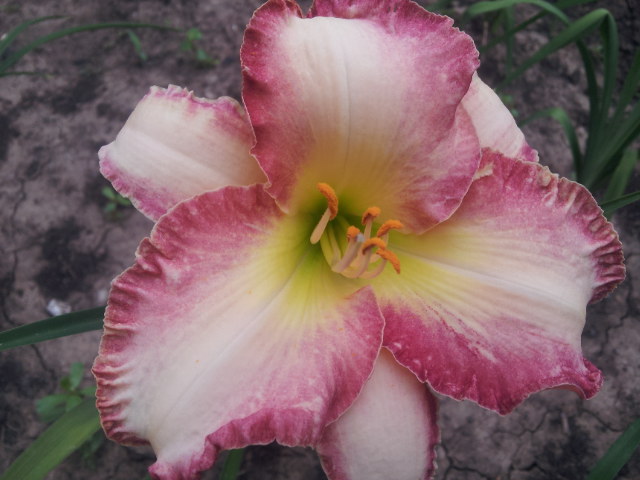 20130624_080503.jpg