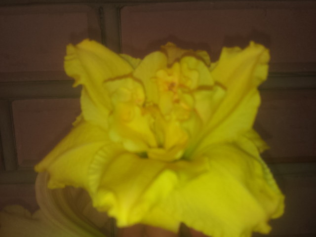 20140728_092909.jpg