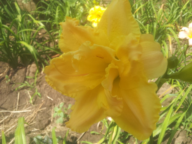20140705_111855.jpg