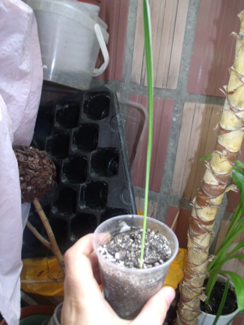 GEDC5818.JPG