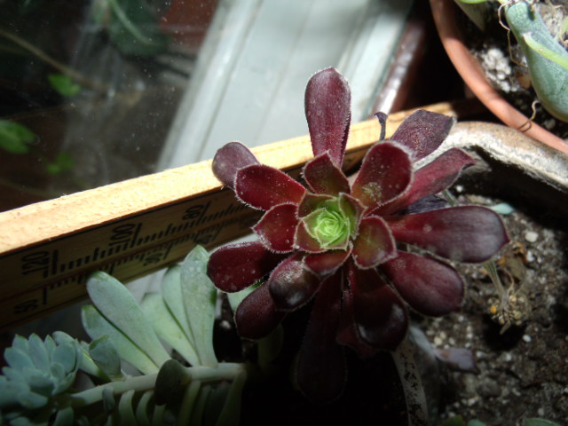 GEDC5255.JPG