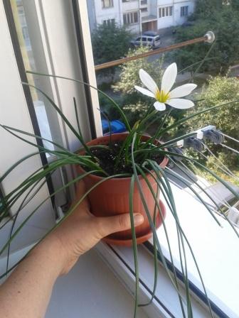 2014-08-04 09.19.55.jpg