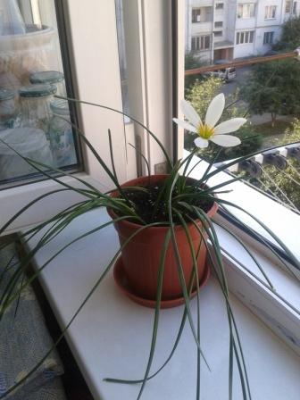 2014-08-04 09.19.36.jpg