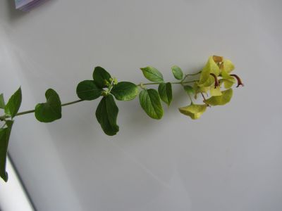 IMG_3286.jpg