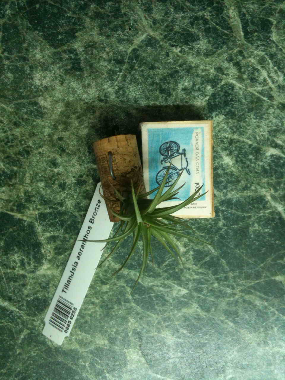 Бронзе.jpg
