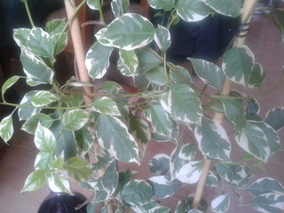 2014_08_23_09_07_27.jpg