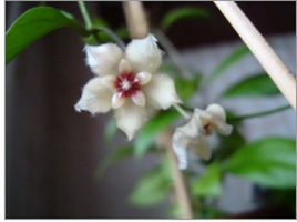 2013-09-24_080446.png