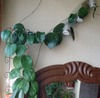 2014-09-07_225919.png