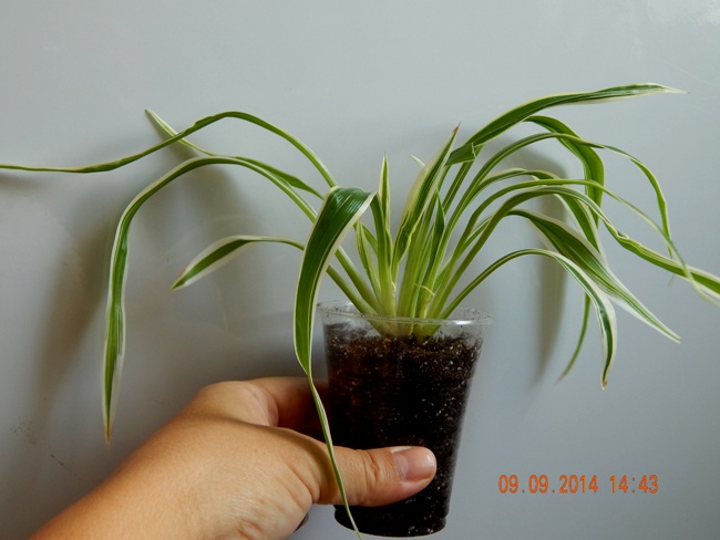 DSCN2881.JPG