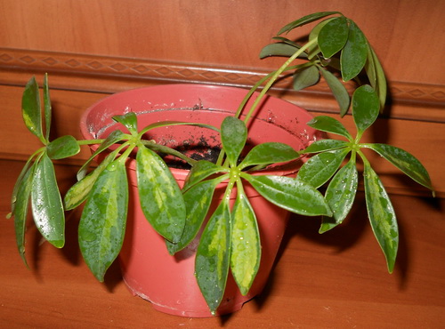 DSCN3893.JPG
