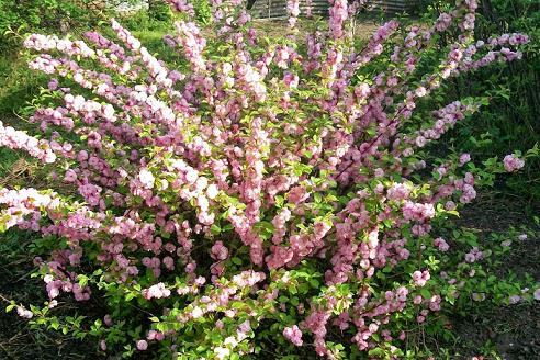 100_1617.jpg
