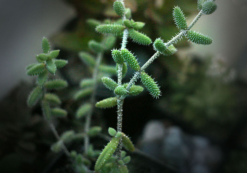 001_sample_01.jpg