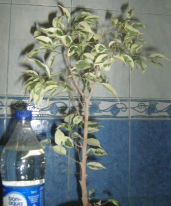 IMG_1055.jpg