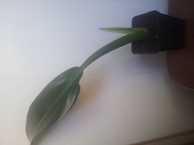 20140920_121527.jpg