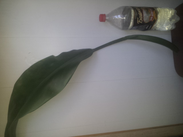 20140920_122742.jpg