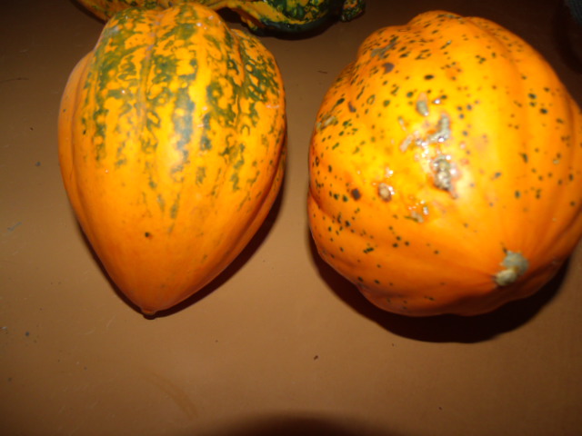 GEDC5964.JPG