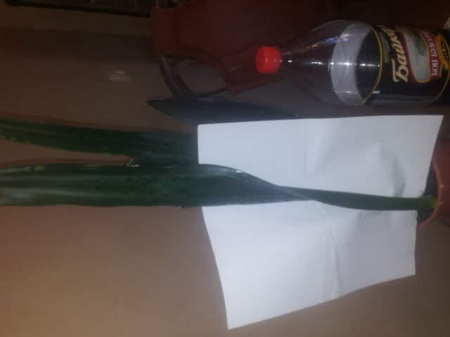 20140925_083921.jpg