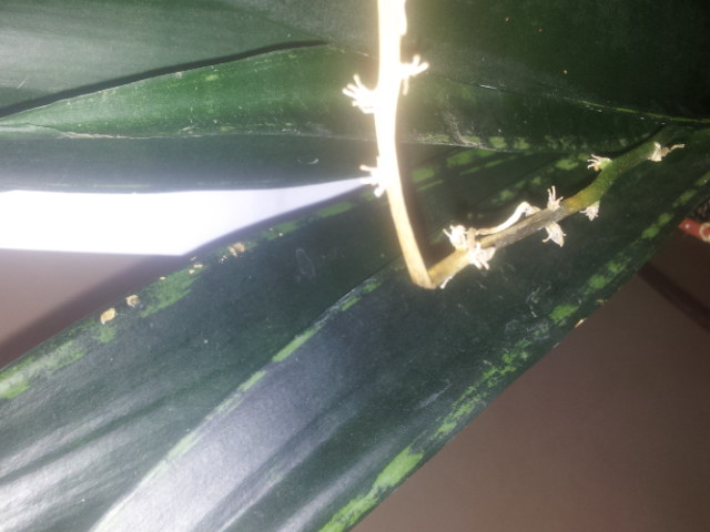 20140925_084054.jpg