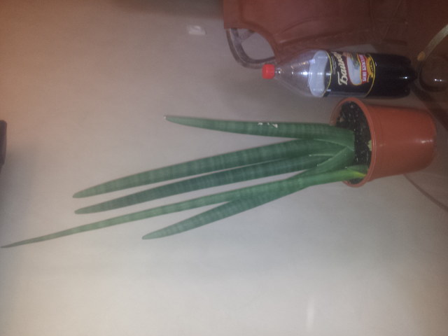 20140925_083245.jpg