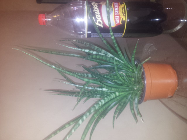 20140925_092455.jpg