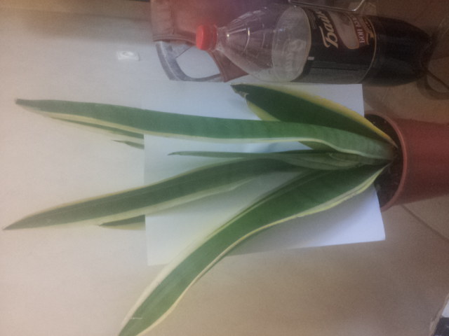 20140926_073633.jpg