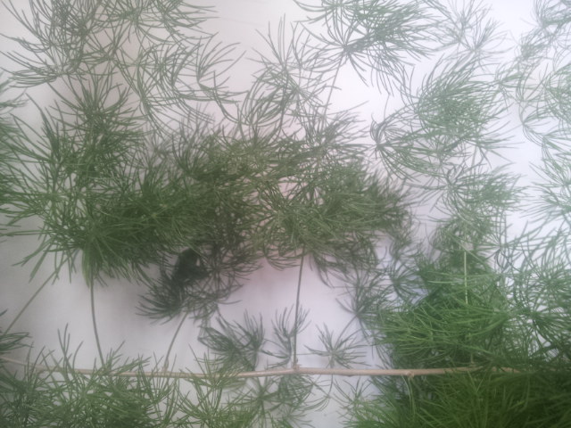 20140926_122446.jpg