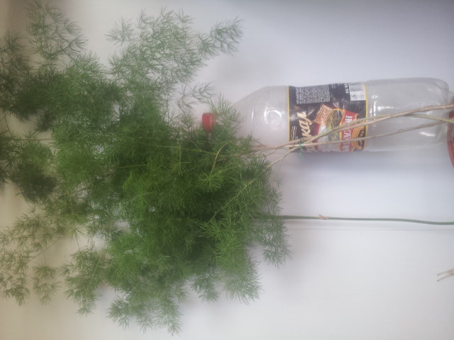 20140926_122435.jpg
