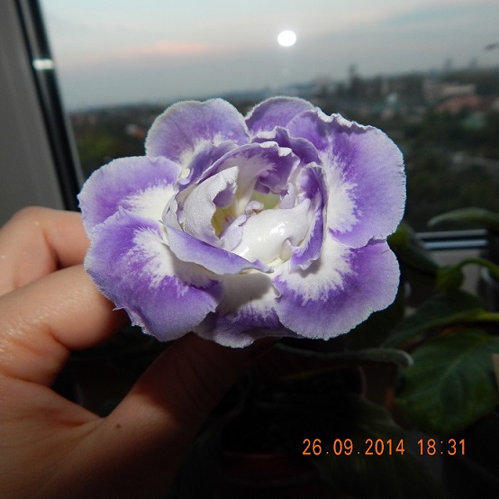 DSCN0842.JPG