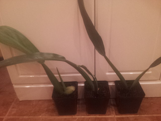 20140928_105622.jpg