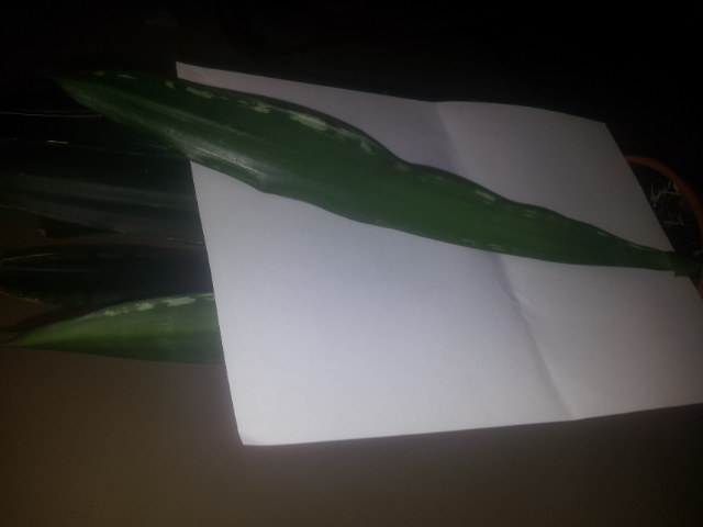 20140930_072838.jpg