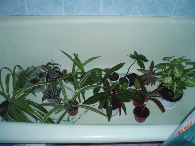P1010630.JPG