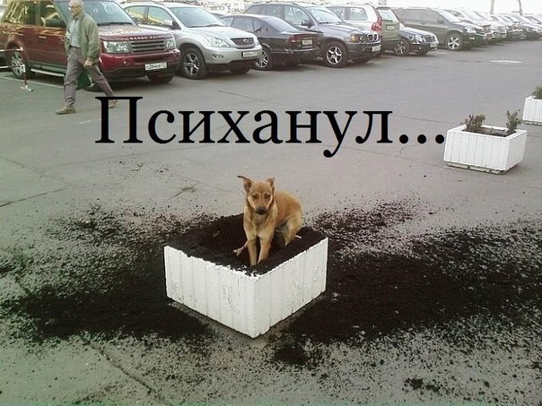 UAZDXf_THwc.jpg