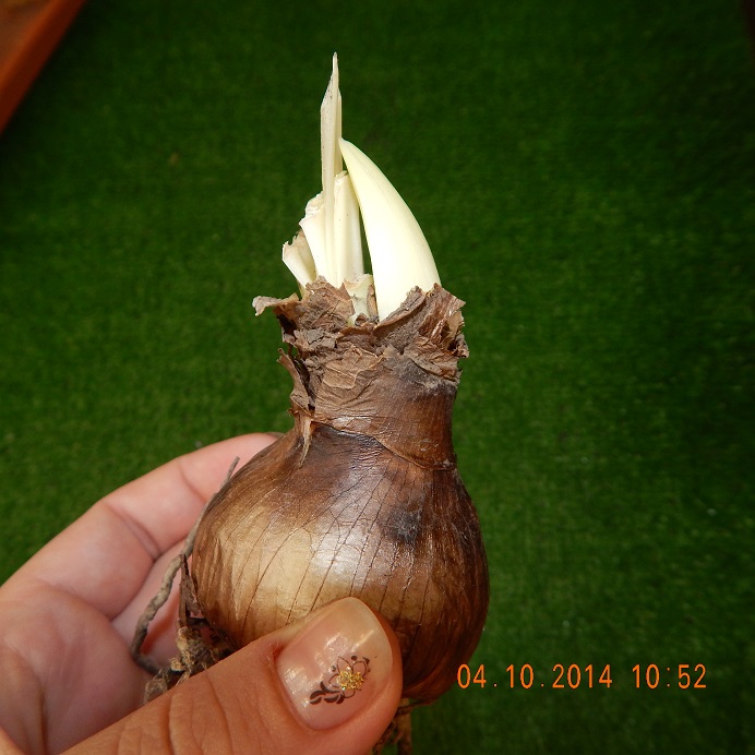 DSCN0895.JPG