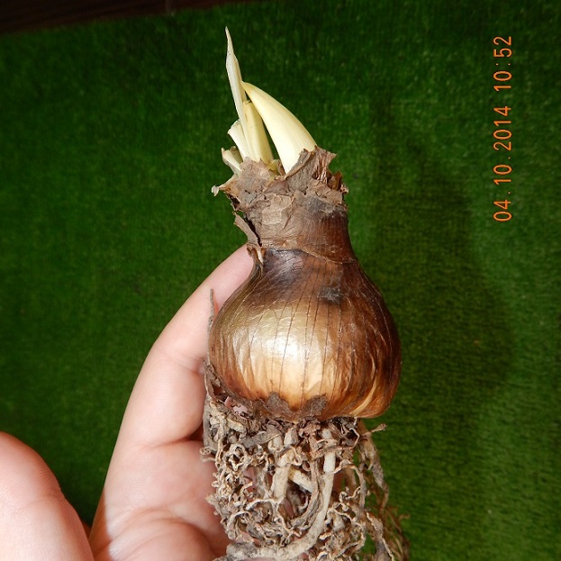 DSCN0897.JPG
