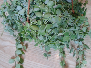 2014_10_07_16_54_15.jpg