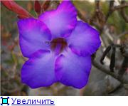 deepblue.jpg