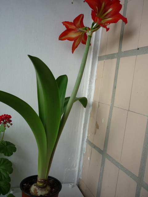 P1050192.JPG