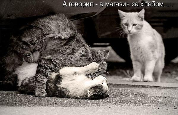 А говорил в магазин за хлебом.jpg