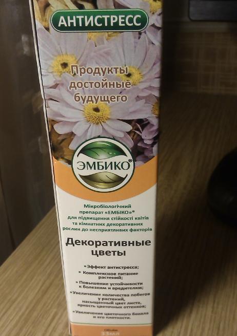 антистресс.jpg