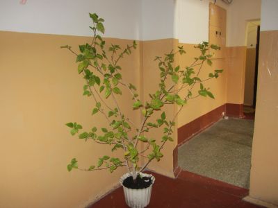 IMG_3471.jpg