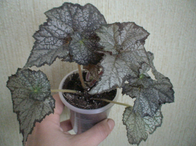 DSC01756а.jpg