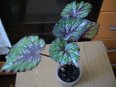 DSC01761а.jpg