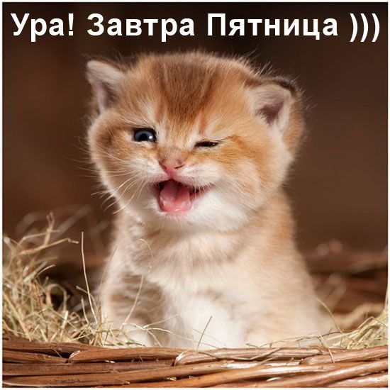 ура.jpg