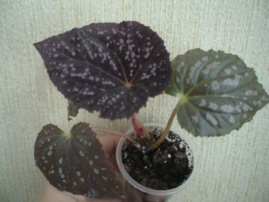 DSC01773а.jpg