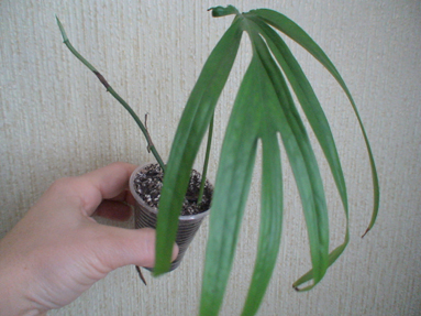 DSC01780а.jpg