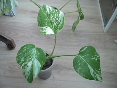 DSC01804а.jpg