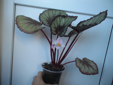 DSC01793а.jpg