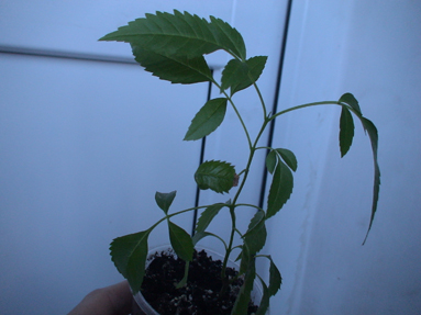 DSC01808а.jpg