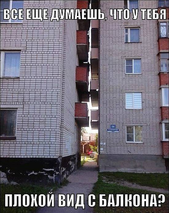 782_545342ad21362.jpg