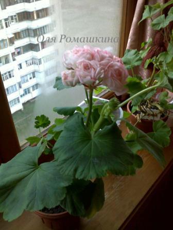 Копия 05112008121.jpg